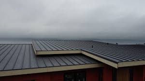 Fast & Reliable Emergency Roof Repairs in Farmers Loop, AK